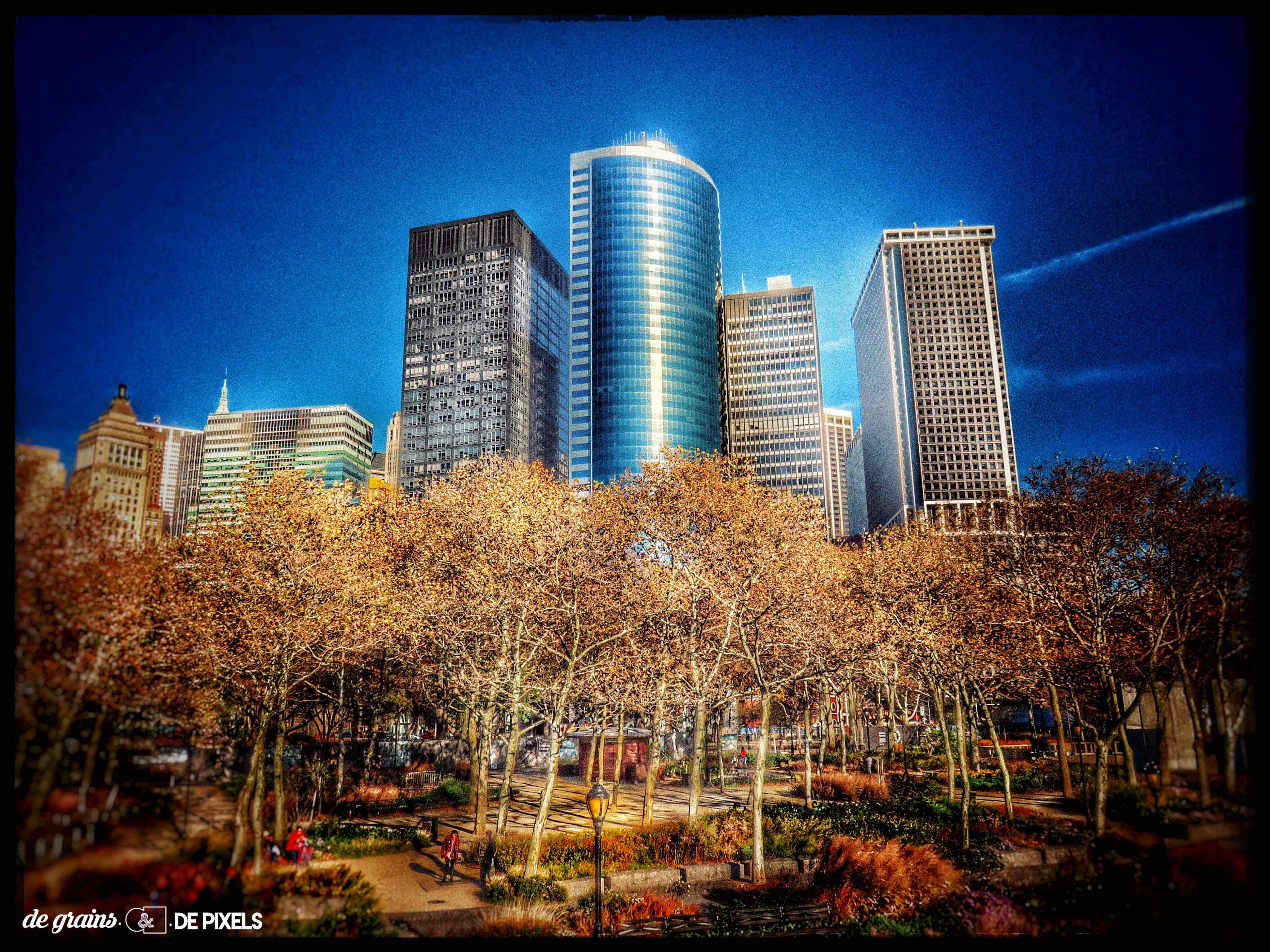 COLORS OF NEW-YORK  <br/>👨‍🎨 📷 🗽
